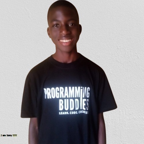 Mudasiru Ridhwanullahi working